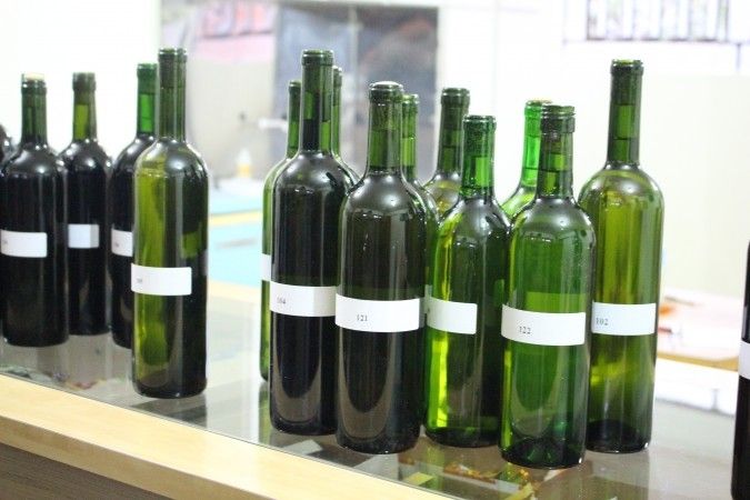  Festival Nacional do Vinho Colonial ocorre na próxima semana em Bento Gonçalves