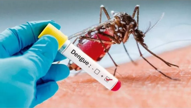 Dengue faz sua terceira vítima na região da Serra
