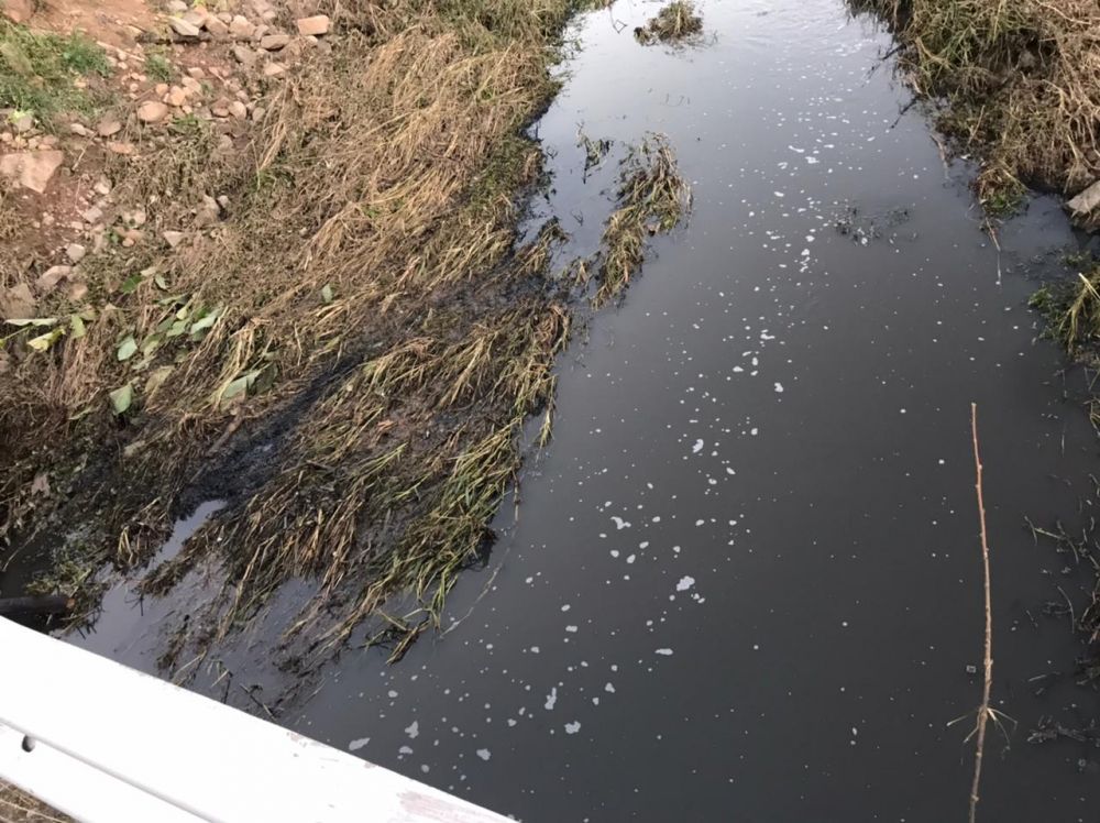 Exclusivo: Possível crime ambiental em Garibaldi leva poluição a Santa Tereza