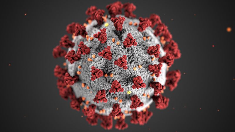 Boletim do coronavírus revela que variante P1 segue predominando no RS