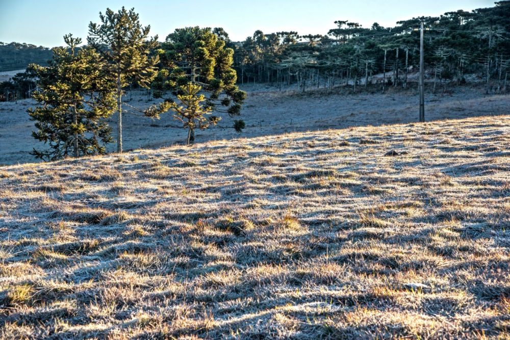 Previsão do tempo indica frio e possibilidade de geada nos próximos dias