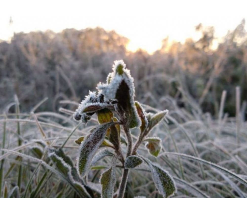 Quarta-feira inicia com temperaturas negativas na serra