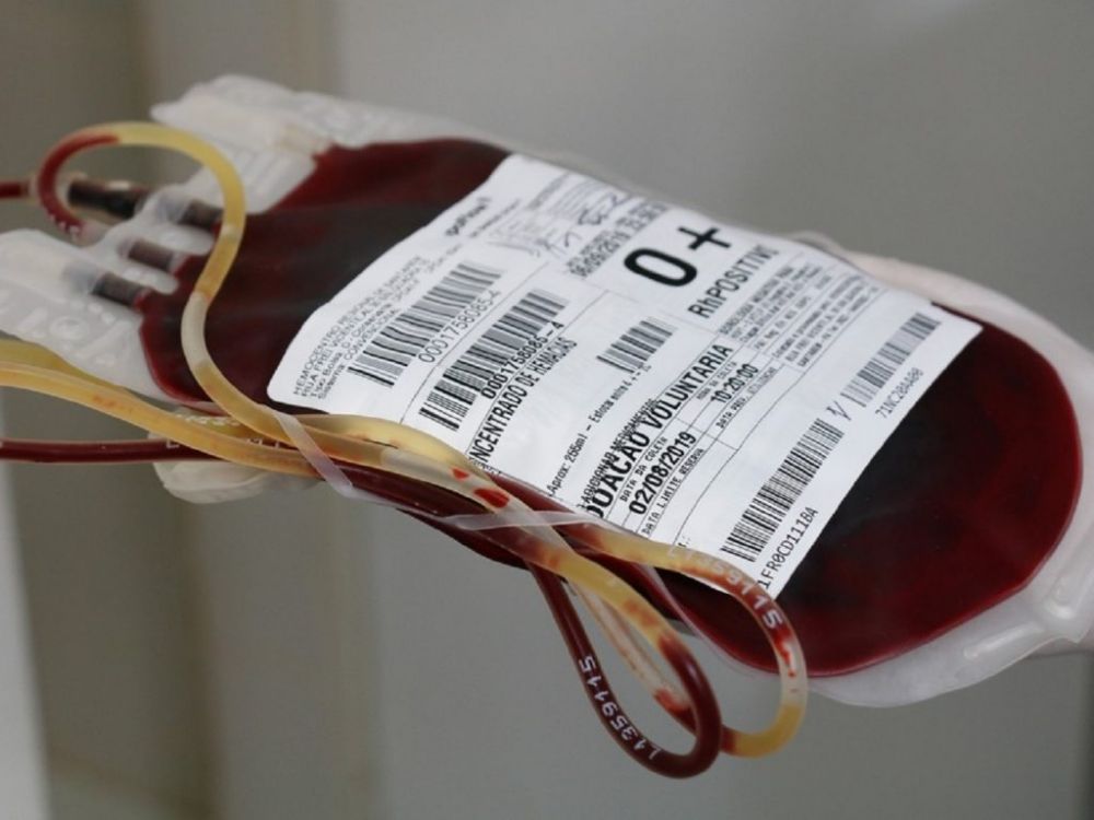 Falta de sangue pode afetar retorno das cirurgias no Tacchini