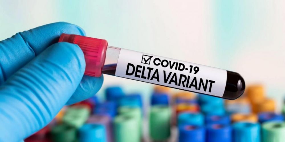 Variante Delta é encontrada em dois pacientes de Garibaldi