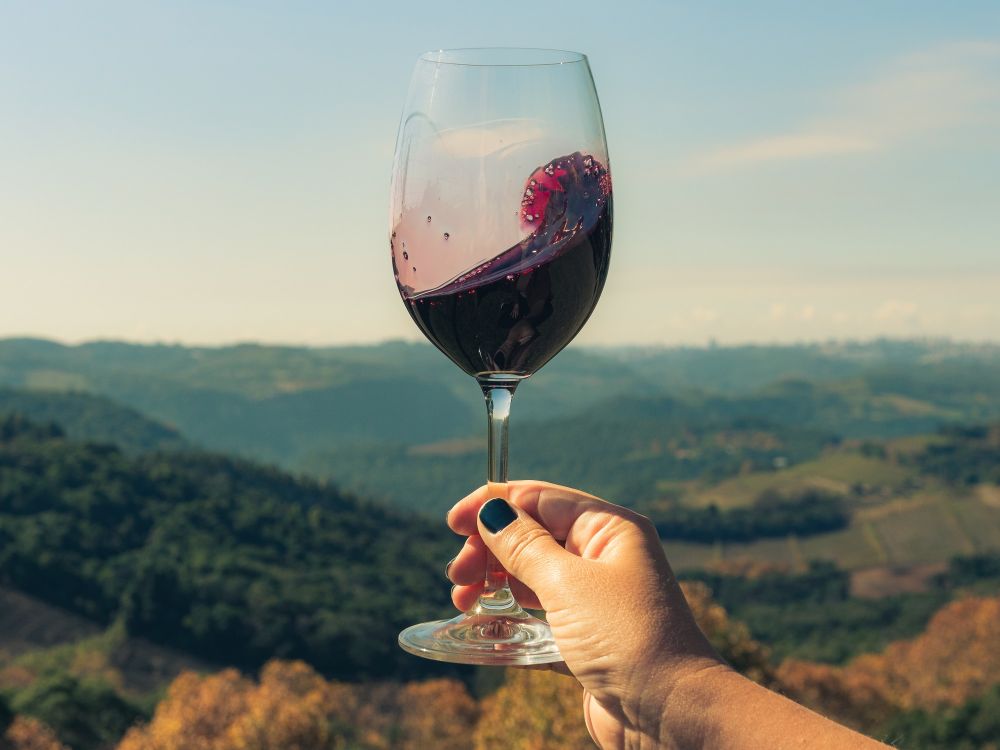 Venda de vinhos e espumantes cresce 19% no acumulado de 12 meses