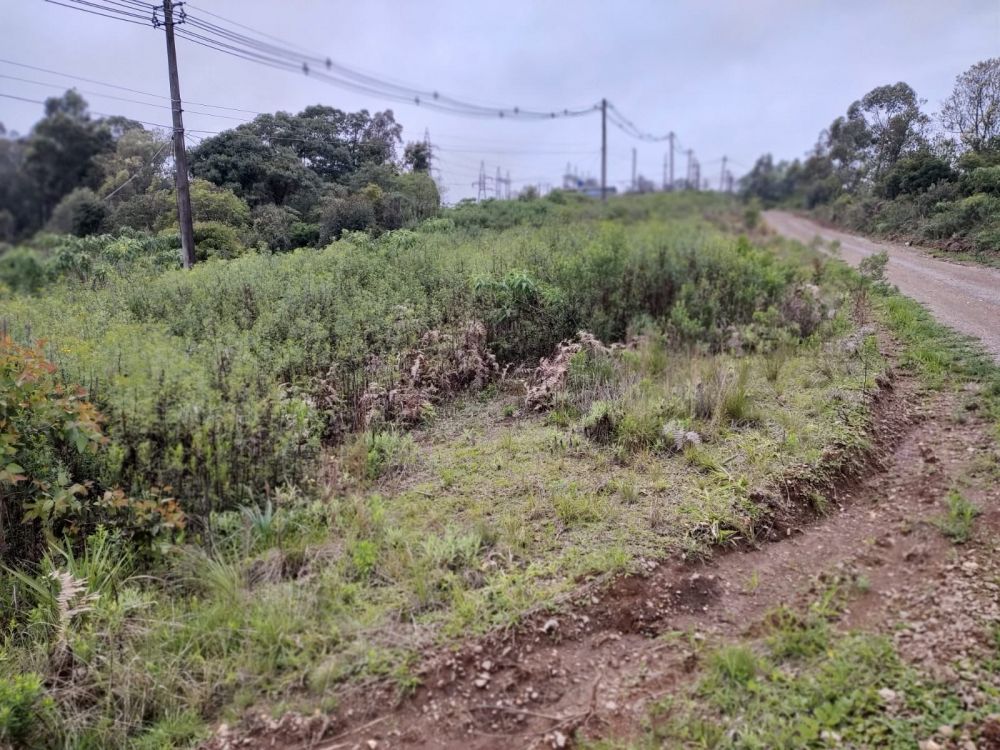 Jovem de 19 anos é encontrada morta em Garibaldi