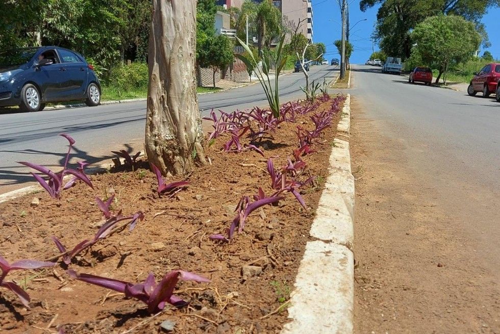 Av. Presidente Kennedy passa por revitalização paisagística