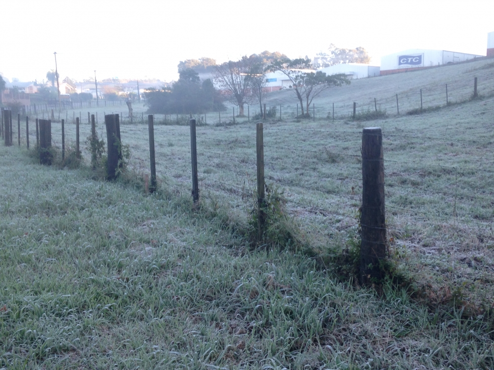 Sexta-feira com temperatura baixa e geada em Garibaldi e Carlos Barbosa