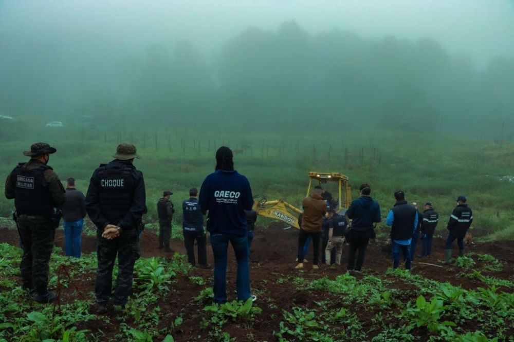 Ministério Público denuncia 10 pessoas por comércio ilegal de carne de cavalo