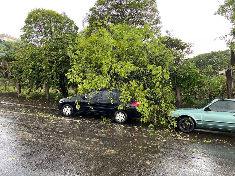 Temporal provoca estragos em Garibaldi e Carlos Barbosa