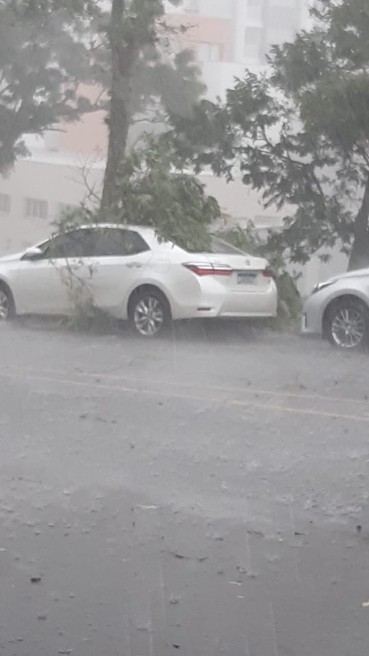 Temporal provoca estragos em Garibaldi e Carlos Barbosa