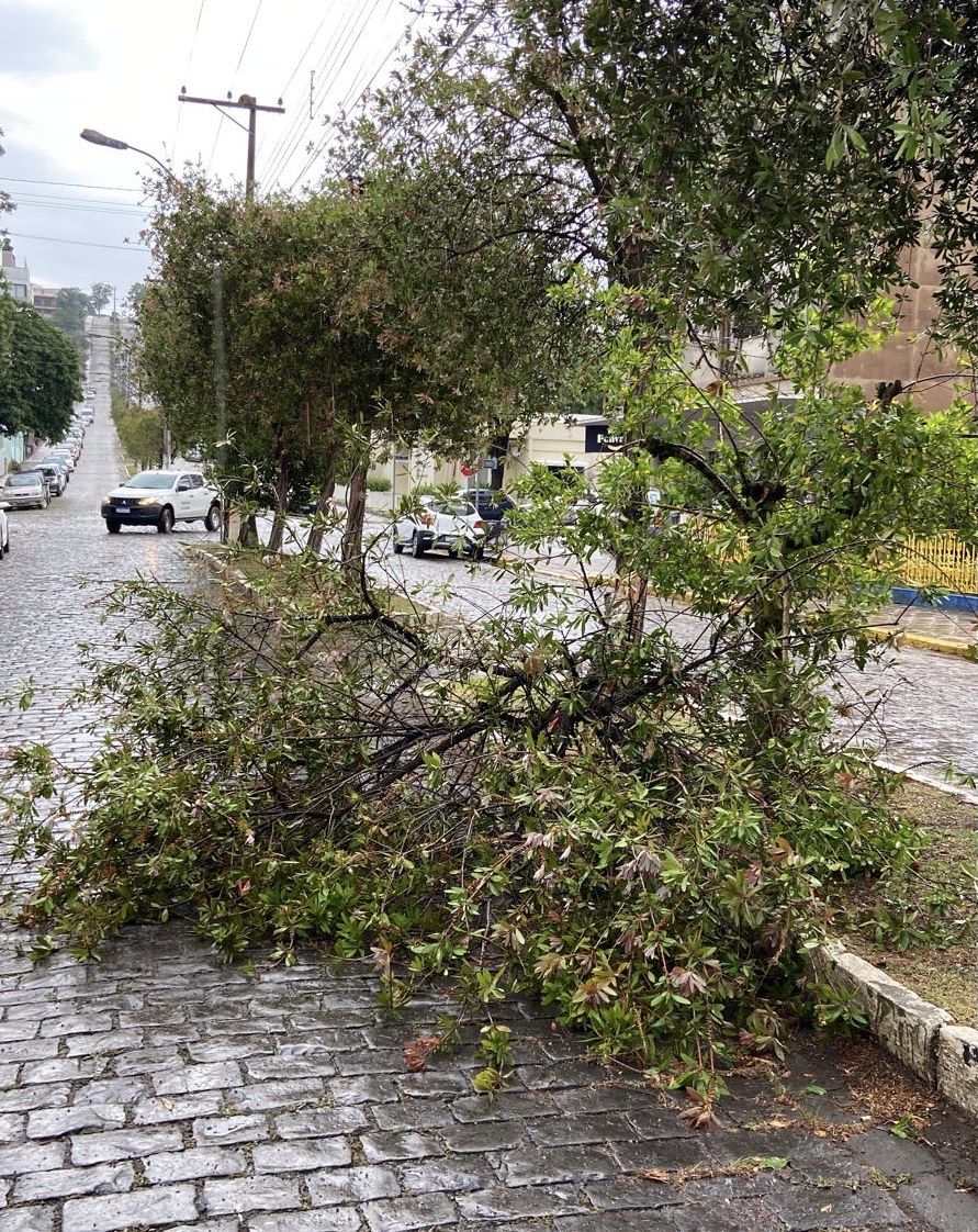 Prefeitura e Defesa Civil trabalham para recuperar estragos em Garibaldi