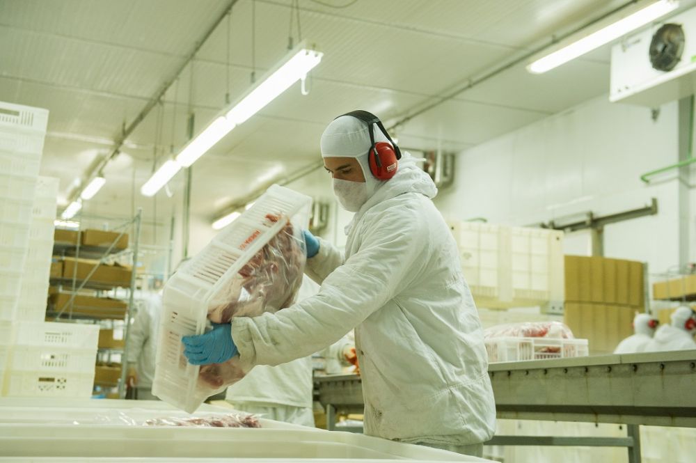 Exportações de carne de frango mantém alta em 2021