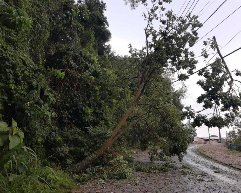 Temporal causa estragos em alguns pontos de Bento Gonçalves 