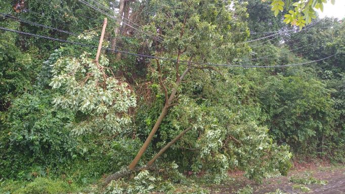 Equipes da Prefeitura trabalham para limpeza de vias após o temporal em Bento