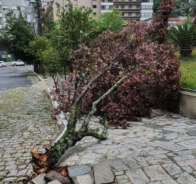 Equipes da Prefeitura trabalham para limpeza de vias após o temporal em Bento