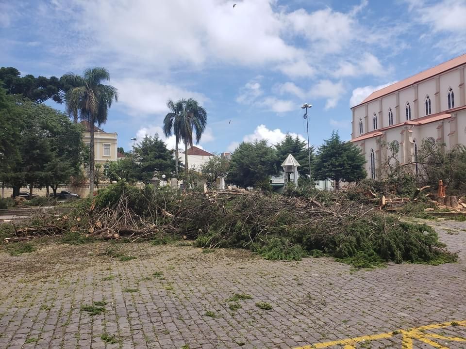 Corte de árvores com risco de queda é realizado na Praça da Matriz