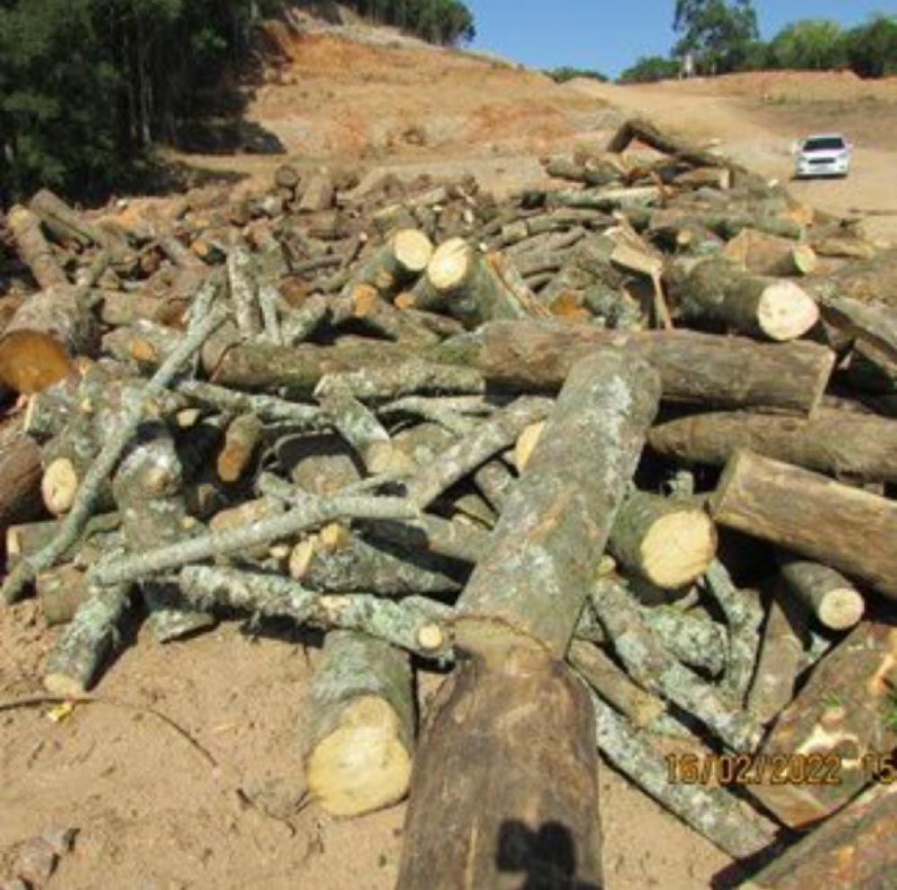 Sec. de Meio Ambiente de Bento é desligado do cargo após denúncia de crime ambiental