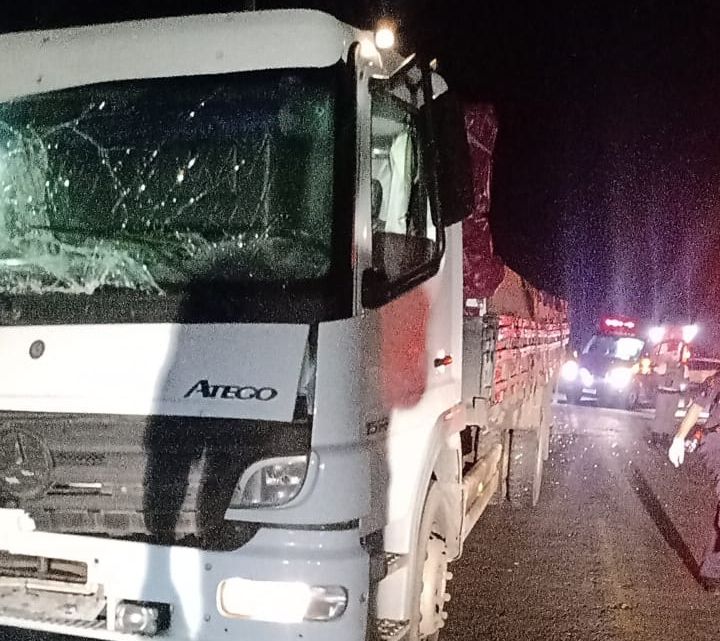 Cinco pessoas ficam feridas após tombamento de ônibus no Vale dos Vinhedos