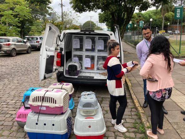 Castrações são ampliadas em Bento Gonçalves