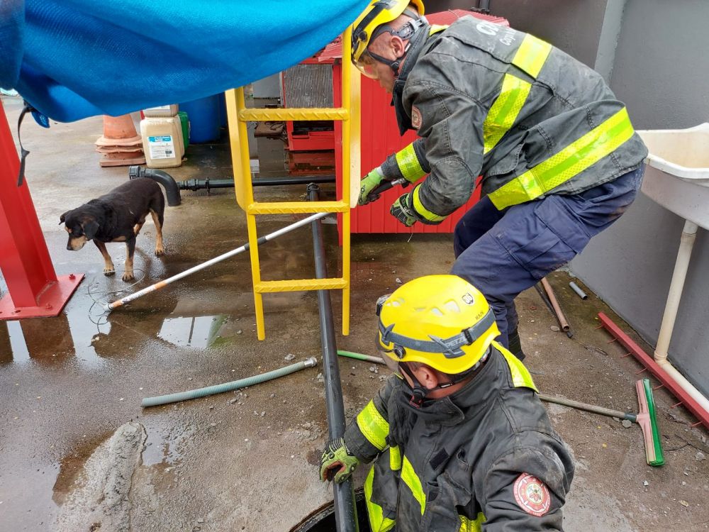 Bombeiros salvam cachorro caído em buraco de aproximadamente três metros em Bento