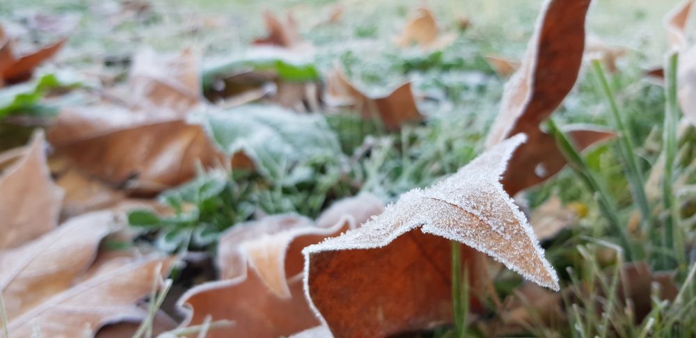 Maio encerra com baixas temperaturas e geada