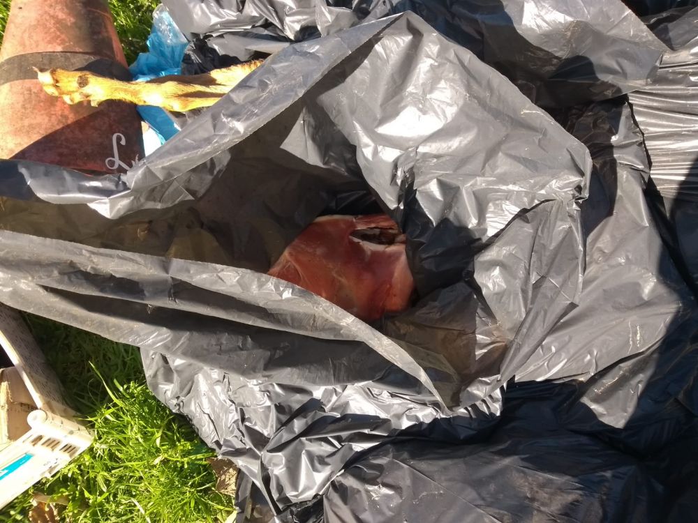 Moradores da Rota do Sol reclamam de descarte irregular de resíduos