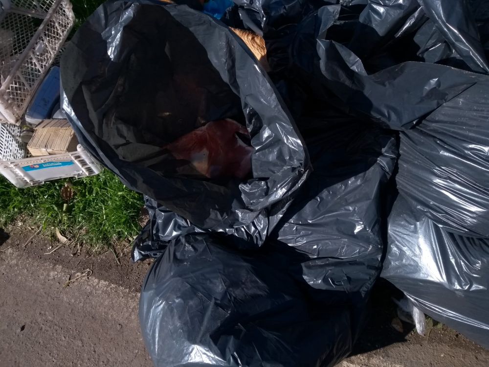 Moradores da Rota do Sol reclamam de descarte irregular de resíduos