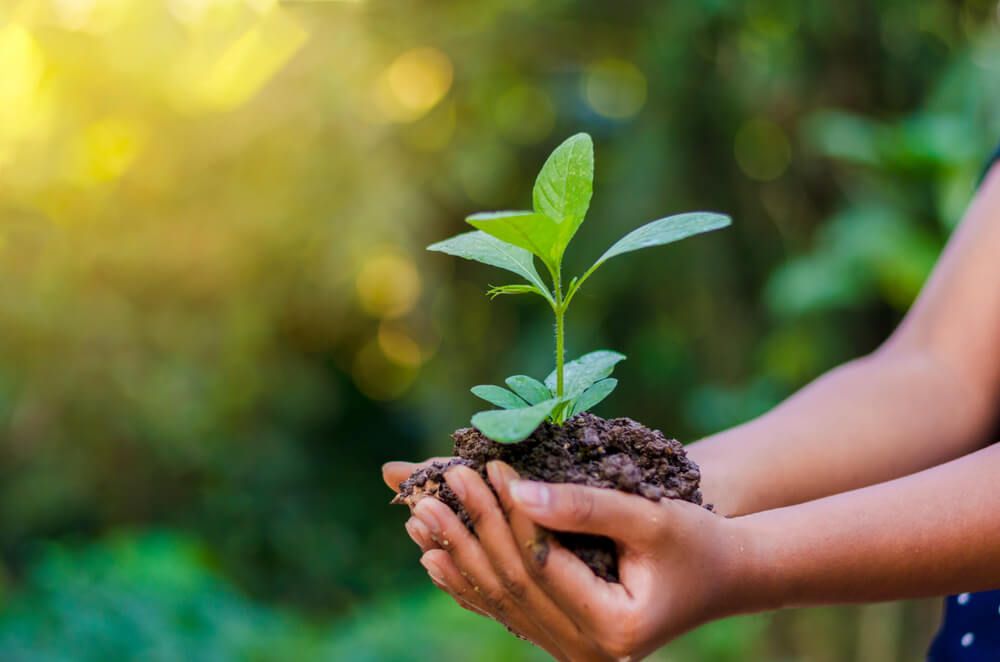 Atividades de educação ambiental seguem em Carlos Barbosa