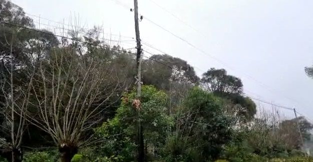 Moradores do bairro Garibaldina ficam  24h sem energia elétrica