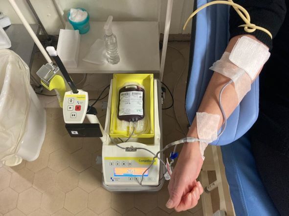 Campanha de doação de sangue conta com 77 participantes em Bento Gonçalves