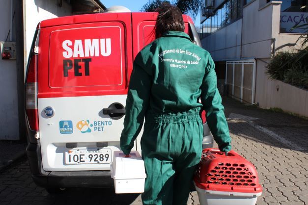 "Farma Pet" deve entrar em funcionamento no próximo mês em Bento