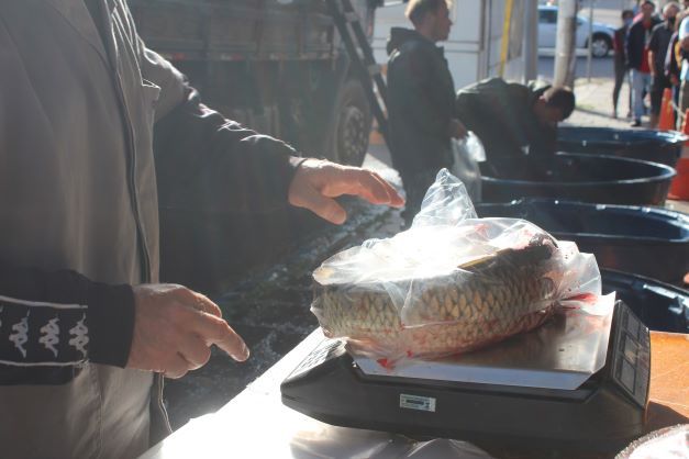 Feira do Peixe Vivo ocorre no próximo sábado em Bento Gonçalves