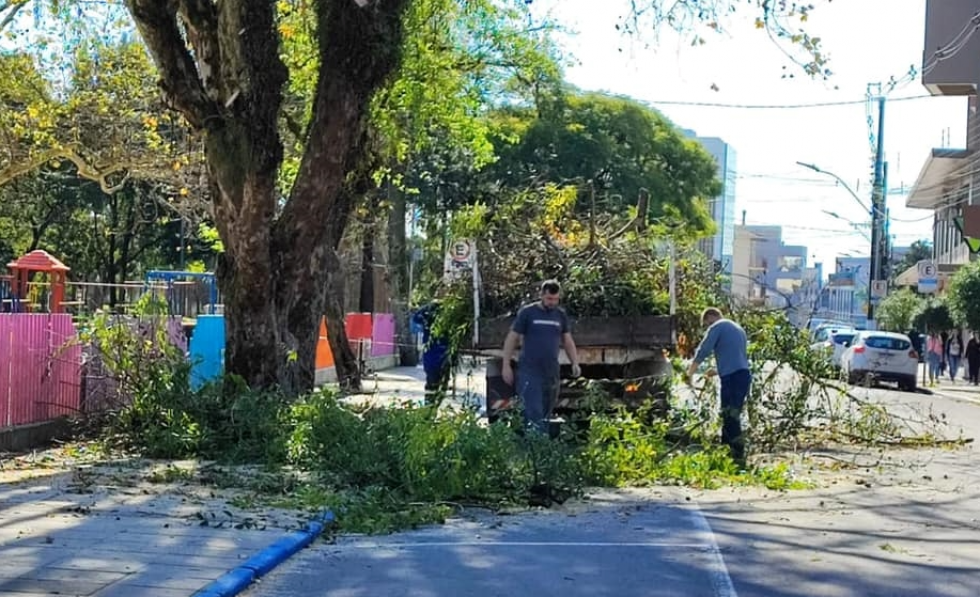 Solicitações de podas de árvores estão encerradas em Carlos Barbosa