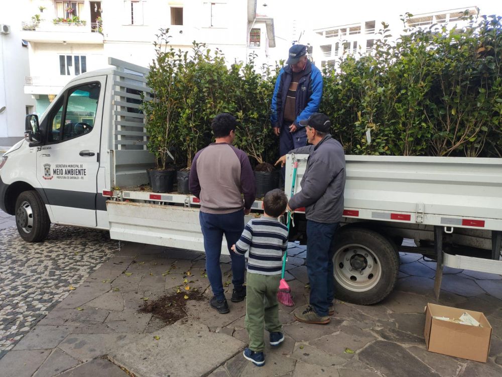 Prefeitura de Garibaldi doa 500 mudas de camélia para moradores