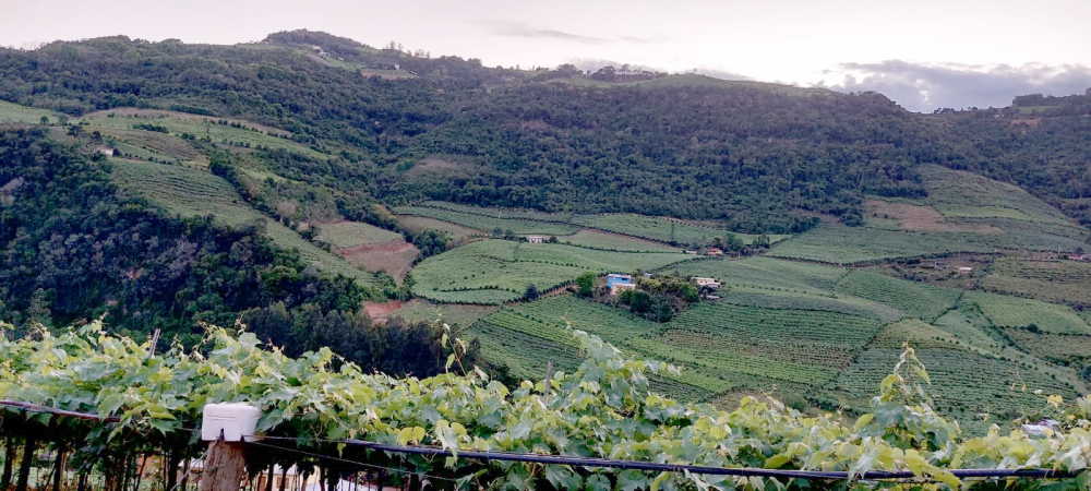 Primavera seguirá contando com a presença da La Niña na Serra Gaúcha