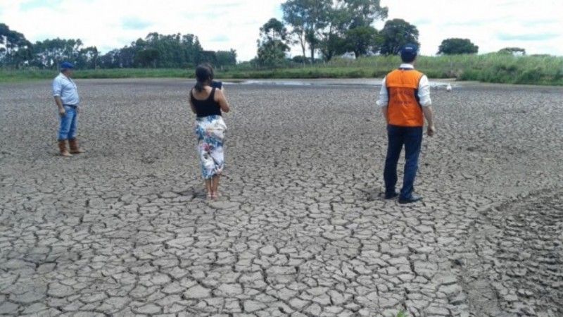 Já são 51 os municípios que decretaram emergência pela estiagem