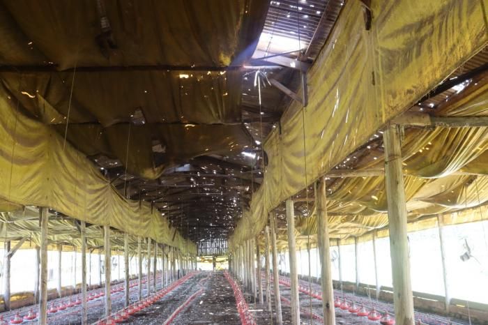 Forte chuva de granizo causa destruição em Farroupilha