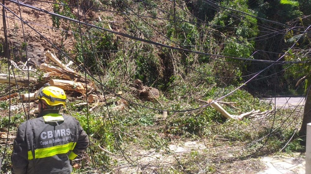 Famílias ficam sem energia após queda de árvore em Bento