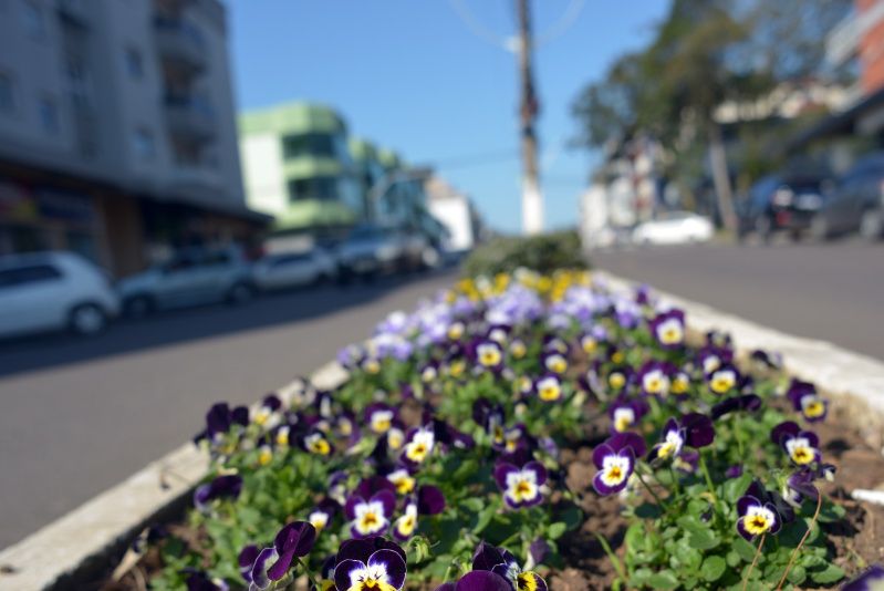 Programa “Adote uma Praça” é instituído em Garibaldi