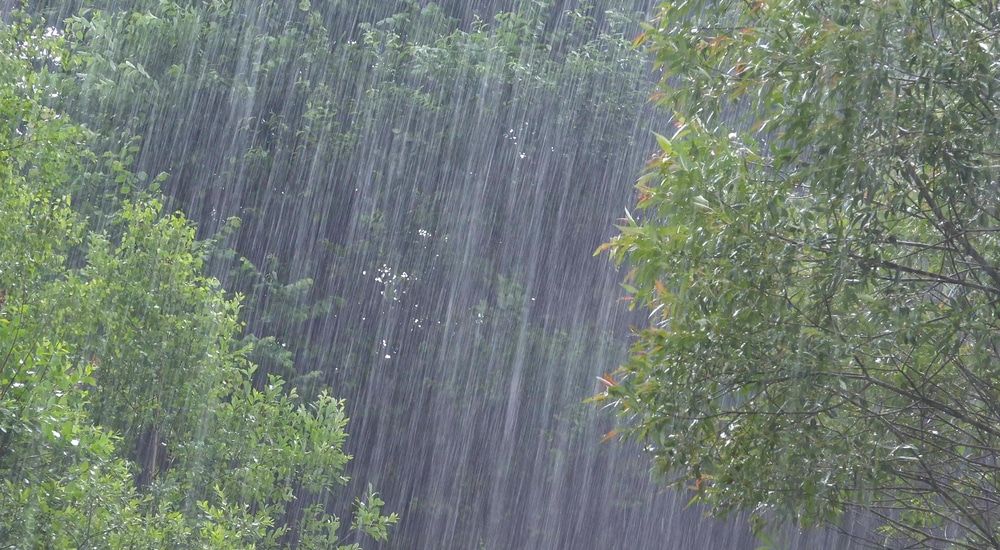 Próximos dias terão calor e chuvas expressivas