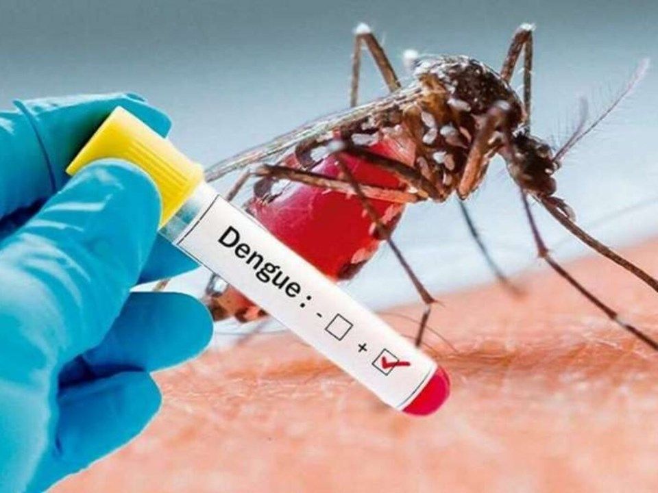 Garibaldi registra primeiro caso de dengue em 2023