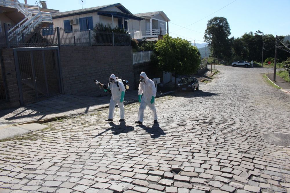 Município de Bento Gonçalves vive surto de Dengue