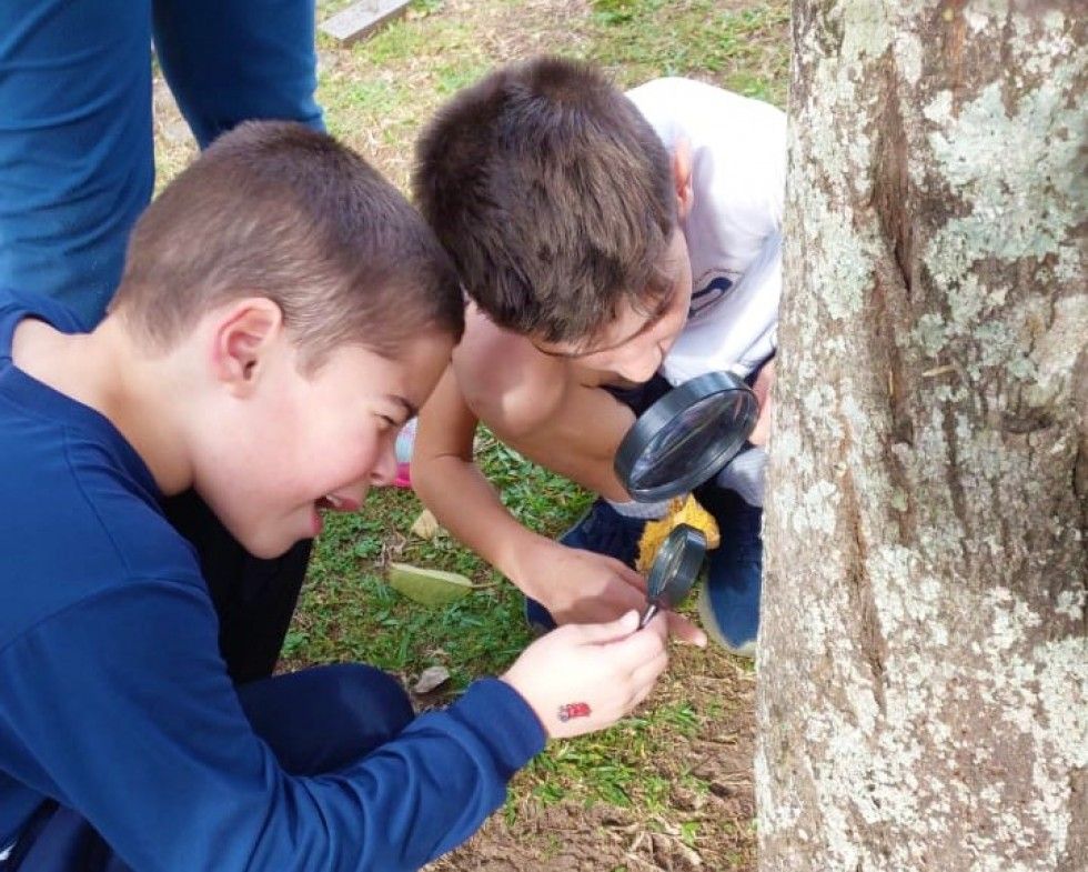 Estudantes de Carlos Barbosa  participam de conscientização ambiental