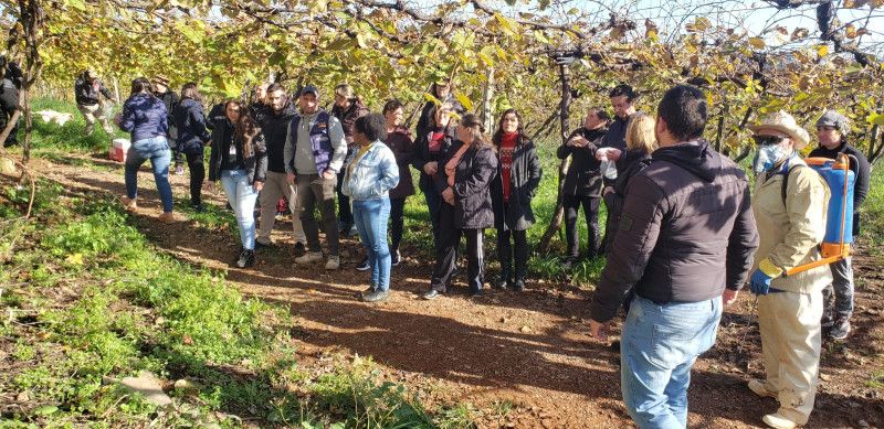 Vitivinicultura para mulheres chega ao segundo módulo