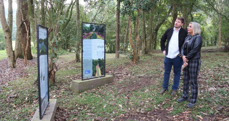 Banhados artificiais auxiliam no tratamento da água em Garibaldi