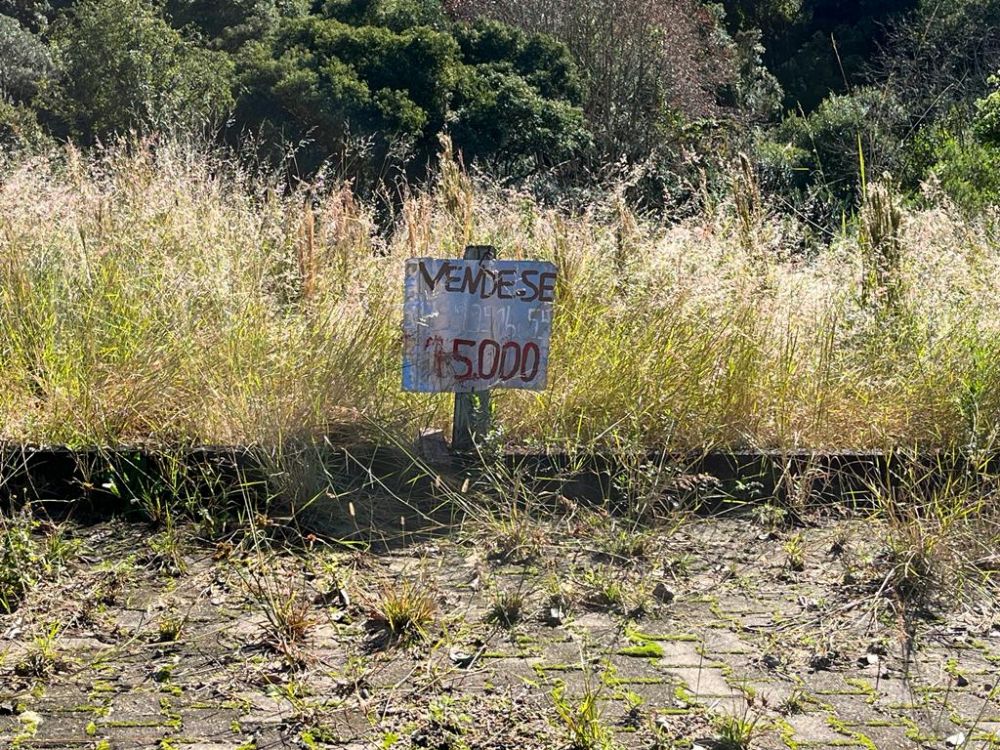 Governo Cettolin aprovou loteamento da AMA com dezenas de irregularidades