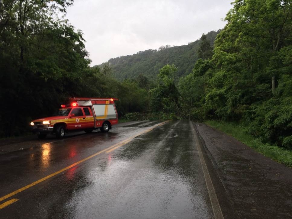 Deslizamento de terra provoca bloqueio total na rodovia ERS 446 