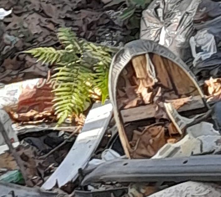 Depósito irregular de lixo é denunciado em Tamandaré 