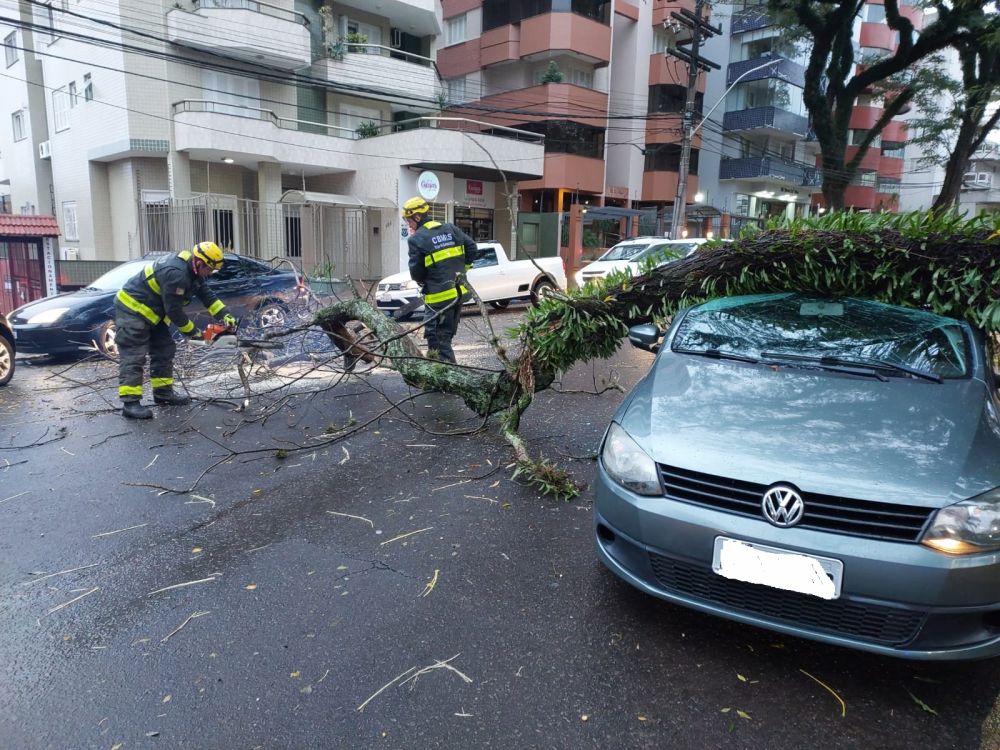 Queda de árvore atinge veículo em Bento Gonçalves 